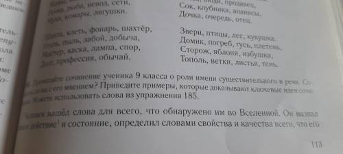 Прочитайте сочинение ученика девятого класса роль имён существительных выразите Согласны ли вы его м