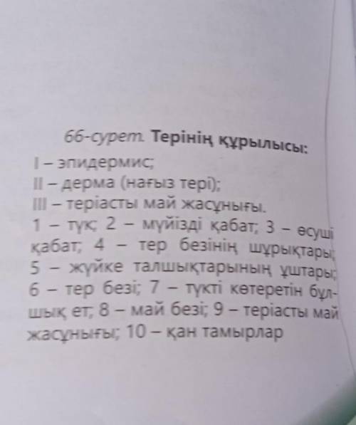 Биология 29 параграф 122 бет 66 сурет терінін курылысы: