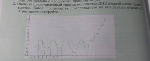 синтез Оцените представление представленный график количества ДНК в одной исследуемой клетки Какие п