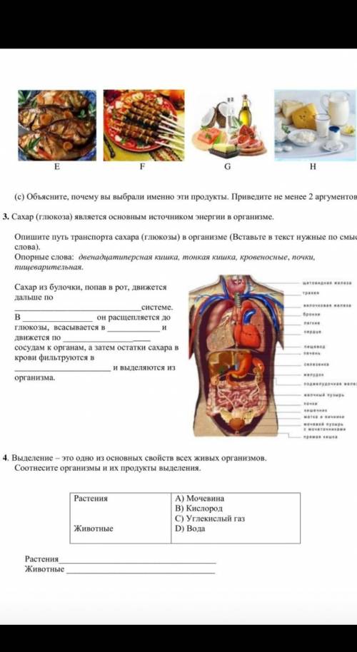 сор по естествознанию 6 класс