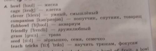 Здравствуйте составить 10 альтернативных вопросов с новыми словами и выражениями письменно.