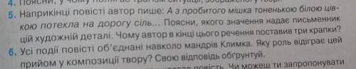 Можете на 5 и 6 вопросы ответить,повість Климко