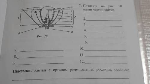 ) И подскажите за 《Підсумки》. Буду благодарна♡