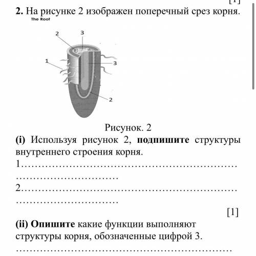 вас можете сказать и описать все подробно и отмечу как лучший ответ