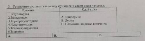 3. Устаноните соответствие между функцией и слоем кожи человека: функцияСлой кожи1.Регуляторная2.Зап