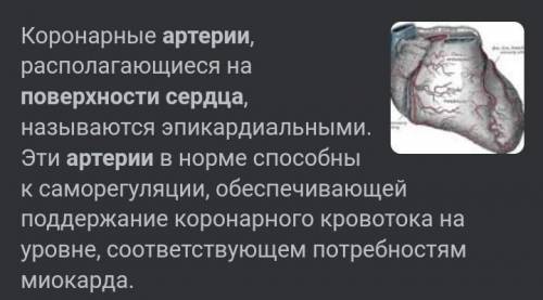 Перечислите артерии, проходящие по повкрхности сердца?