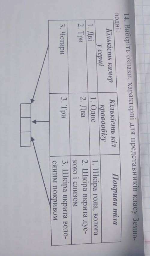 характеристика земноводних