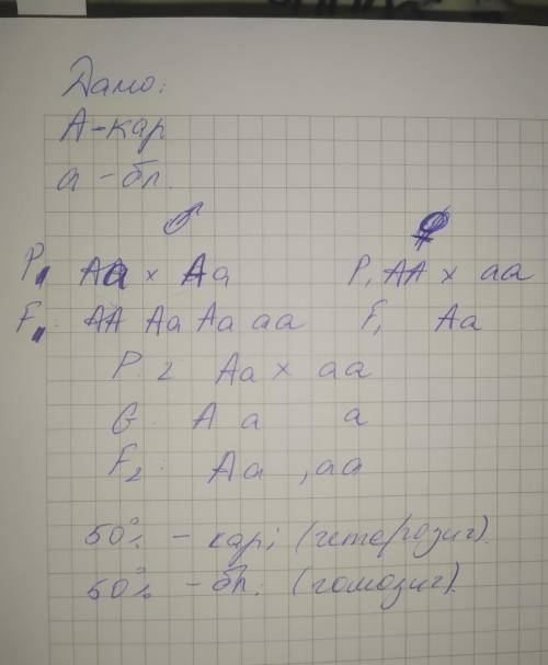 У людини ген карих очей домінує над геном блакитних блакитоокий юнак , батьки якого мали карі очі од