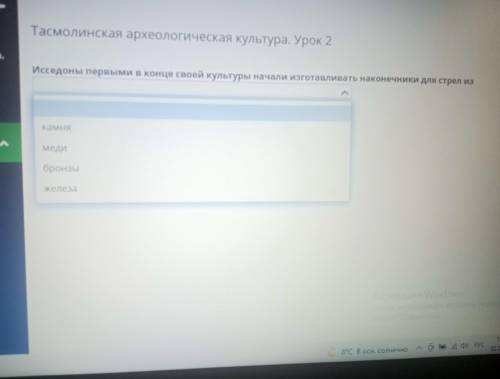 Исследоны первыми в конце своей культуры начали изготавливать наконечники для стрел из?