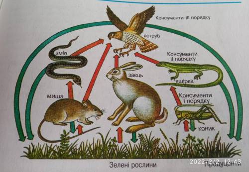 До іть, будь ласка, створити ланцюг живлення послідовно