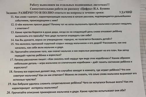 Нужно ответить на вопросы по рассказу «Цифры», развернуто. Буду благодарна, если хоть на пару вопрос