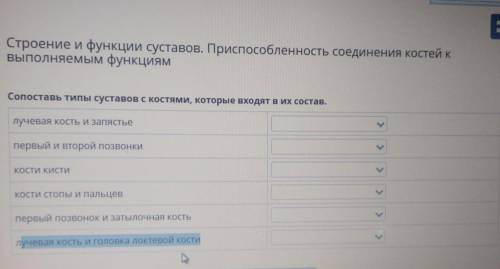 Открыть чат Строение и функции суставов. При соединения костей к Выполняемым функциям Сопоставь типы