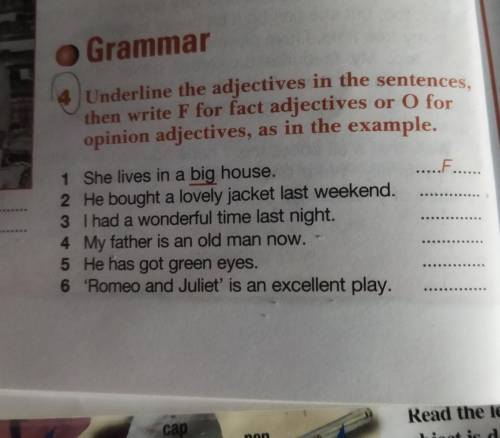 Grammar Underline the adjectives in the sentences, then write F for fact adjectives or O for opinion