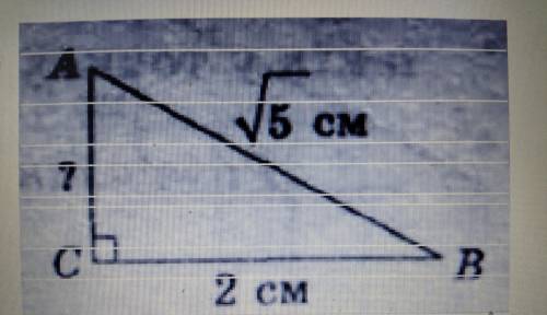 За даними рисунка знайдіть катет АС у трикутнику АВС (кут С = 90°). а)√2 см; б) √3см; в) 1 см; г) 2