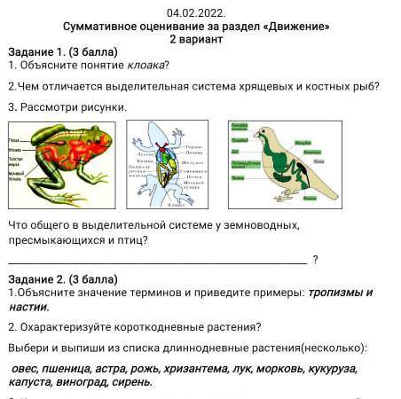 Суммативное оценивание за раздел «Движение» 4 2 вариант Задание 1. ( ) 1. Объясните понятие клоака?