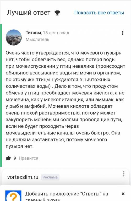 Почему у птиц отсутствует мочевой пузырь?