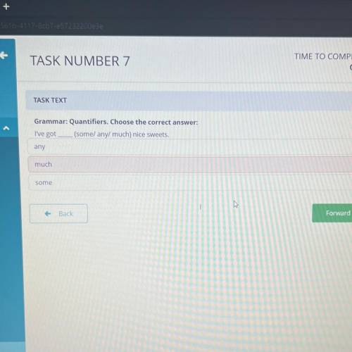 TASK TEXT Grammar: Quantifiers. Choose the correct answer: (somel any/ much) nice sweets. any I've g