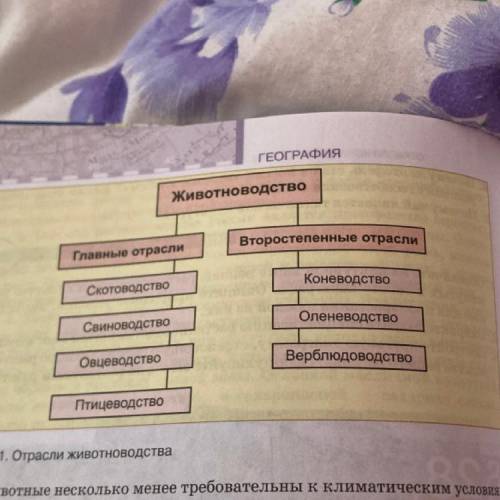 Дополните схему классификации животнодерства, представленную на рисунке 81