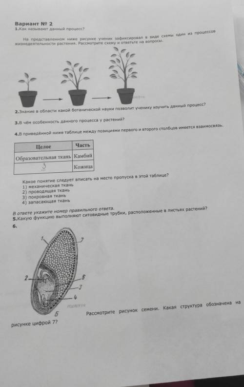 это снова я,мне нужна сделать этот лист по впр биологии.Много,что по ней пропустила поэтому не поним