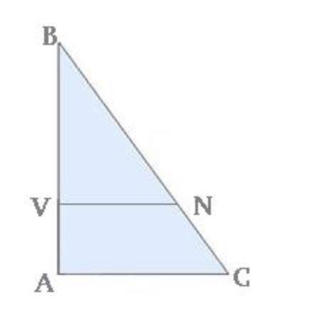 ￼ известно что VN||AC AC=16см VN=4м AV=16,8м. Вычисли стороны VB и АВ Докажи подобие треугольников О
