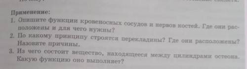 Применение 1. Опищите функции кровеносных сосудов и нервов костей. Где они расположены и для чего ну