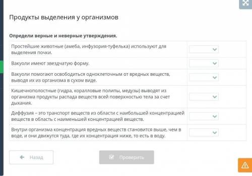 Продукты выделения у организмов Определи верные и неверные утверждения. Простейшие животные (амеба,