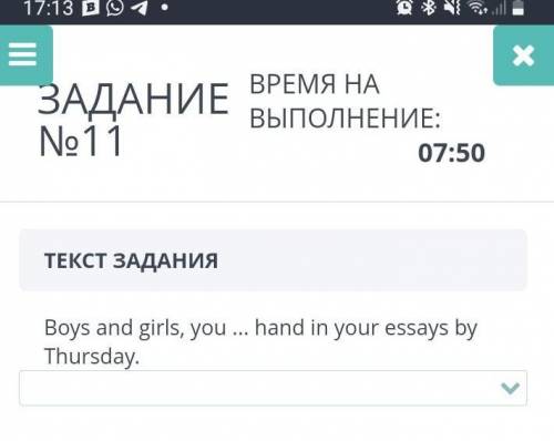 ЗАДАНИЕ №11 ВРЕМЯ НА ВЫПОЛНЕНИЕ: 08:27 ТЕКСТ ЗАДАНИЯ Boys and girls, you ... hand in your essays by