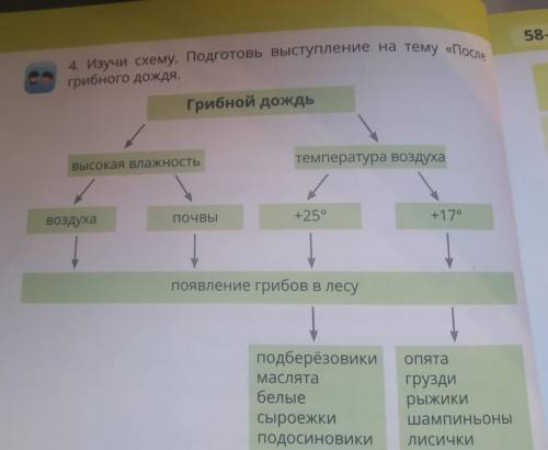 . Какие грибы растут после Ливня и нужно тут составить описание про свой дождь я выбрала ливень рабо