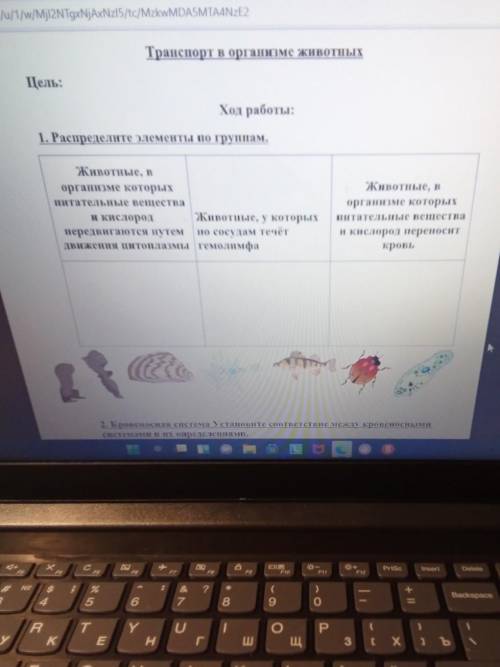 Животные, в организме которых питательные вещества и кислород переносит кровь