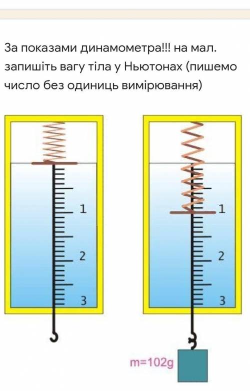 на мал. запишіть вагу тіла у Ньютонах (пишемо число без одиниць вимірювання) Зображення без підпису