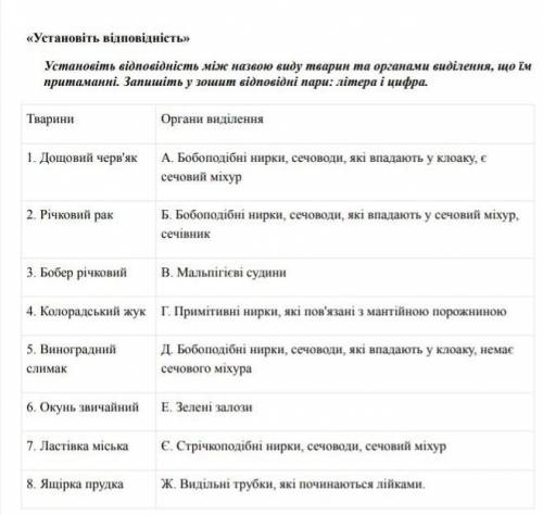 Установіть відповідність будь ласка