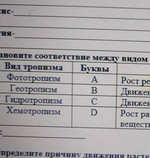 No 1 Буквы А B Описание Рост рестения по отношению к воде ДЕНСжение растения в ответ на свет 2 Вид т