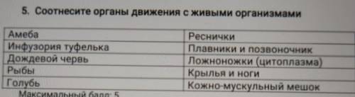 5. Соотнесите органы движения с живыми организмами Амеба Инфузория туфелька Дождевой червь Рыбы Голу