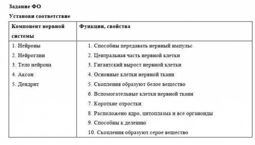 Задание Фо Установи соответствие Компонент нервной Функции, свойства системы 1. Нейроны передавать н