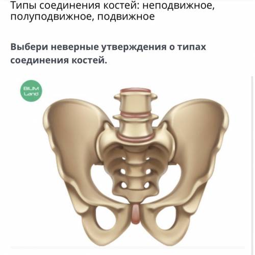 Типы соединения костей: неподвижное, полуподвижное, подвижное Выбери неверные утверждения о типах со