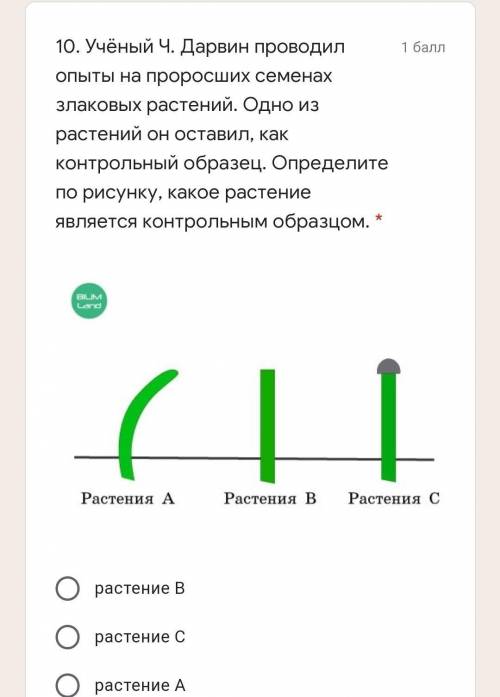 10. Учёный Ч. Дарвин проводил опыты на проросших семенах злаковых растений. Одно из растений он оста