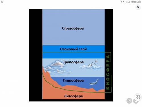 Нарисуйте схему Границы биосферы Запишите определение в тетрадь