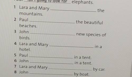 the the beautiful new species of 1 Lara and Mary mountains. 2 Paul - beaches. 3 John birds. 4 Lara a