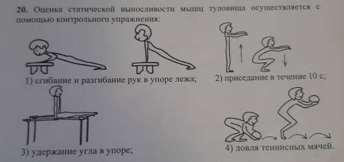 Оценка статической выносливости мышц туловища осуществляется с контрольного упражнения: 1) сгибание 