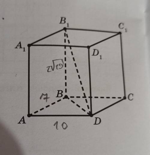 Відрізок DB1 на рисунку є діагоналлю прямокутного паралелепіпеда. Ураховуючи, що кут B1BD прямокутни