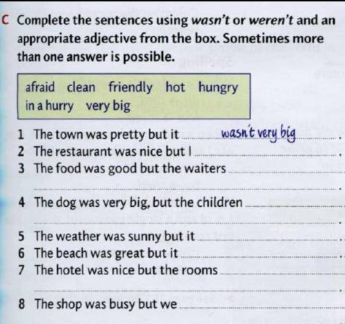 Complete the sentences using wasn't or weren't and an appropriate adjective from the box. sometimes 