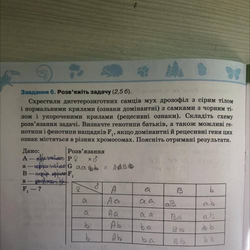 Схрестили дигетерозиготних самців мух дрозофіл(домінантні озн) з самками з яорним тілом і укороченим