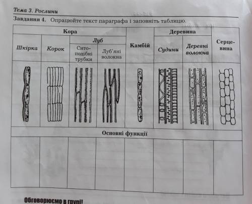 Биология 6 класс. Основні функції: