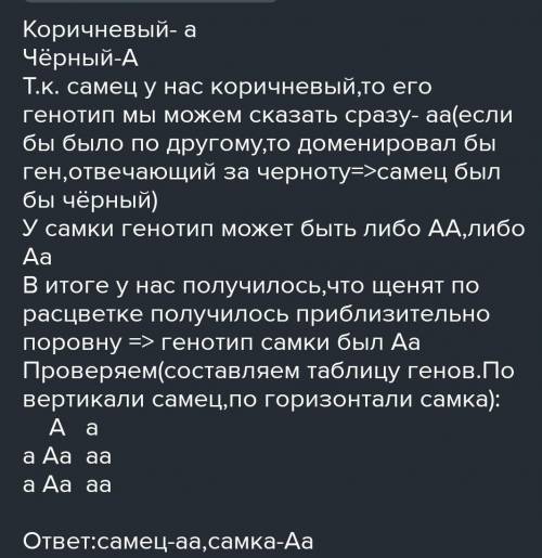 біологія! у собак чорний колір домінує над коричневим коричнева самка від чорного самця принесла 11