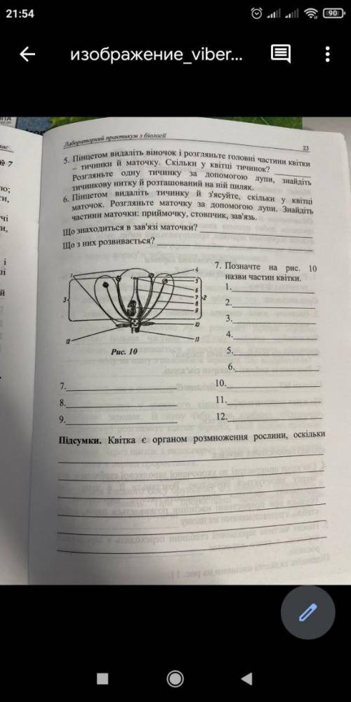 написать частично квітки. Написала всё кроме 1,2,3. Фото добавила. Дз на завтра