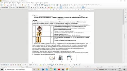 1. Скелет человека состоит из отдельных костей, которые соединены между собой (все, кроме одной - по