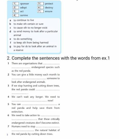2. Complete the sentences with the words from ex.1