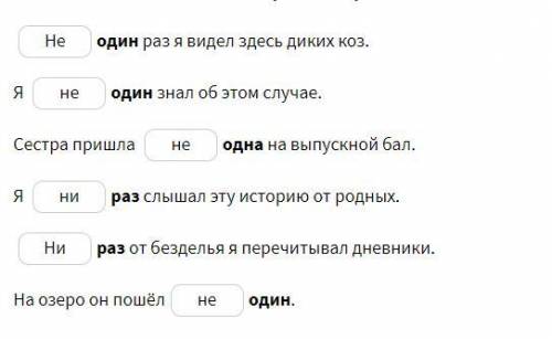 Какая частица должна быть на месте пропуска: «не» или «ни»? Выбери такую частицу, чтобы она вместе с