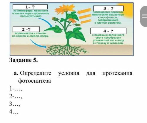 Сор по естествознанию 5 класс,ЧЕРЕЗ 10 МИНУТ СОБИРАЮТ РАБОТЫ