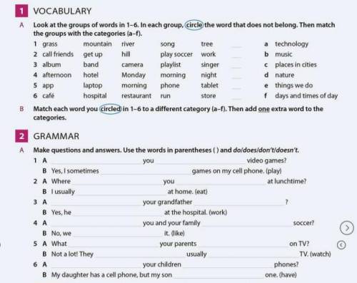 make questions and answers. use the words in parentheses () and do/does/don't/doesn't, #2(GRAMMAR)